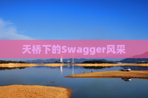 天桥下的Swagger风采
